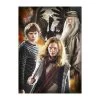 Harry Potter Characters Pack 3 Puzzles 3x1000pzs Clementoni -Negozio Di Giocattoli harry potter characters pack 3 puzzles 3x1000pzs clementoni