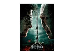 Harry Potter Voldemort Vs Harry Puzzle 1000pz Sd Toys