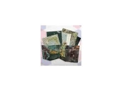 OSD - Set Di Mappe E Schermo Del GM