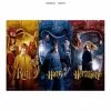 Sd Toys Harry Potter Harry Ron E Hermione 1000 Pezzi Puzzle Puzzle -Negozio Di Giocattoli sd toys harry potter harry ron e hermione 1000 pezzi puzzle puzzle